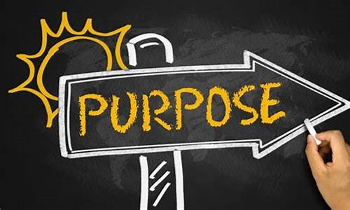 purpose_purpose什么意思